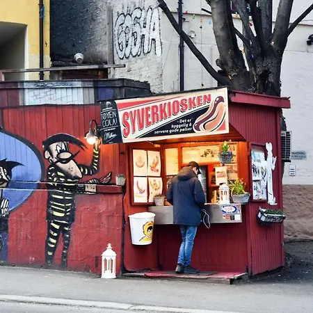 Lejlighed Stilig Og Romslig Pa Gruenerlokka